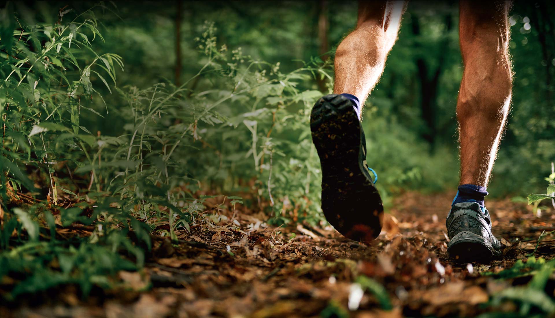 Ultrasound guided Cortisone Injection for Plantar Fasciitis